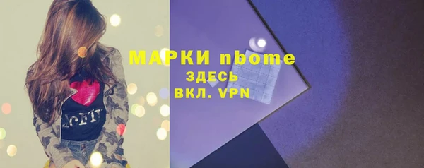 хмурый Пестово