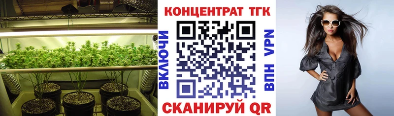 цены наркотик  Моршанск  ТГК концентрат 