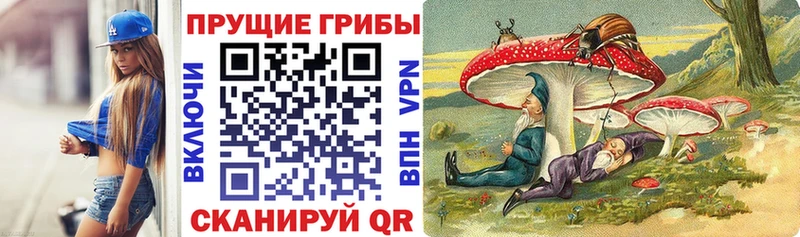 даркнет официальный сайт  Моршанск  Галлюциногенные грибы Magic Shrooms 