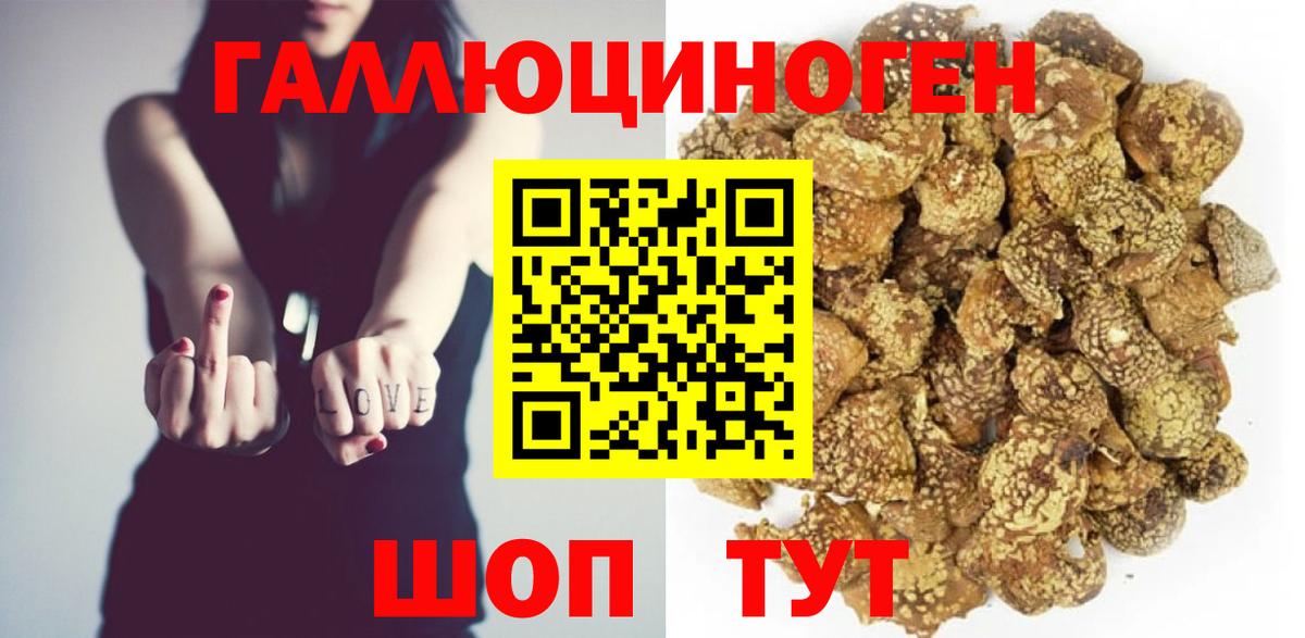 Моршанск  Псилоцибиновые грибы Cubensis  Псилоцибиновые грибы Psilocybine cubensis  Вход с VPN 